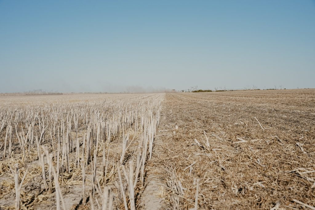 Before and After: The Impact of Land Rollers on Smoothing Fields