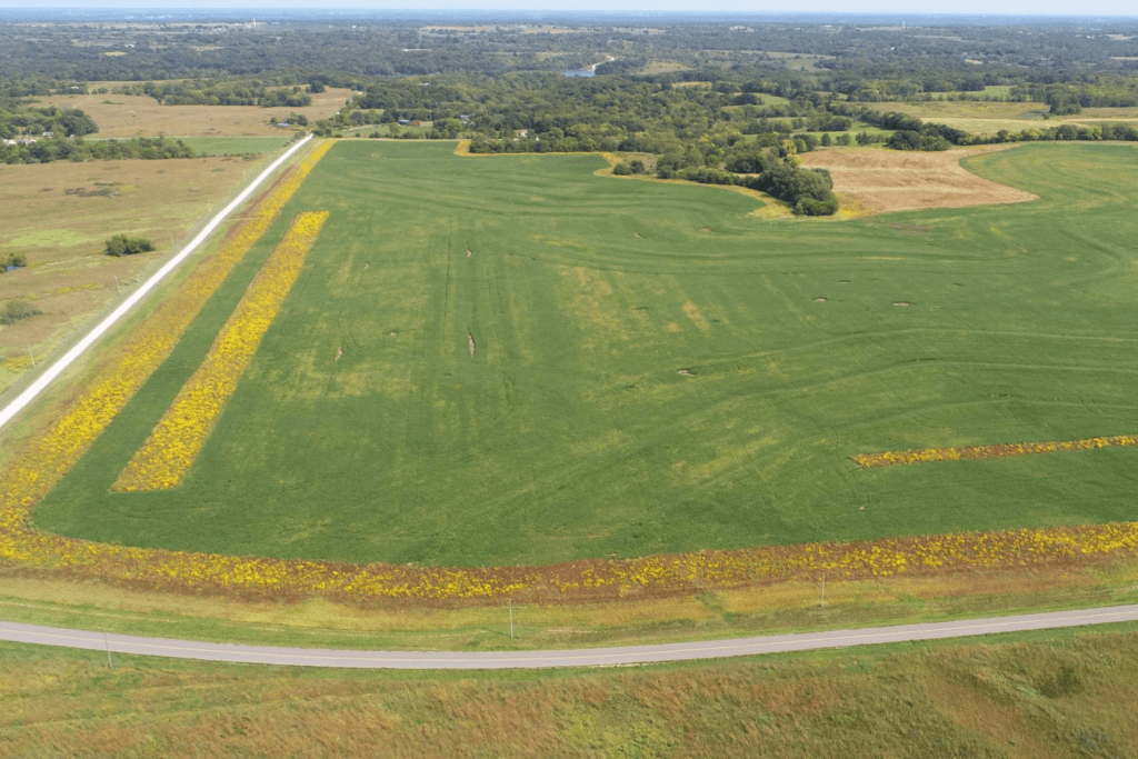 Prairie field with harvested stubble and emerging crop rows illustrating accelerated cropping cycles | Mandako Степное поле со стернёй и рядками всходов: пример интенсивного севооборота